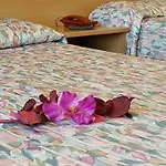 Hotel Phalesia 3*